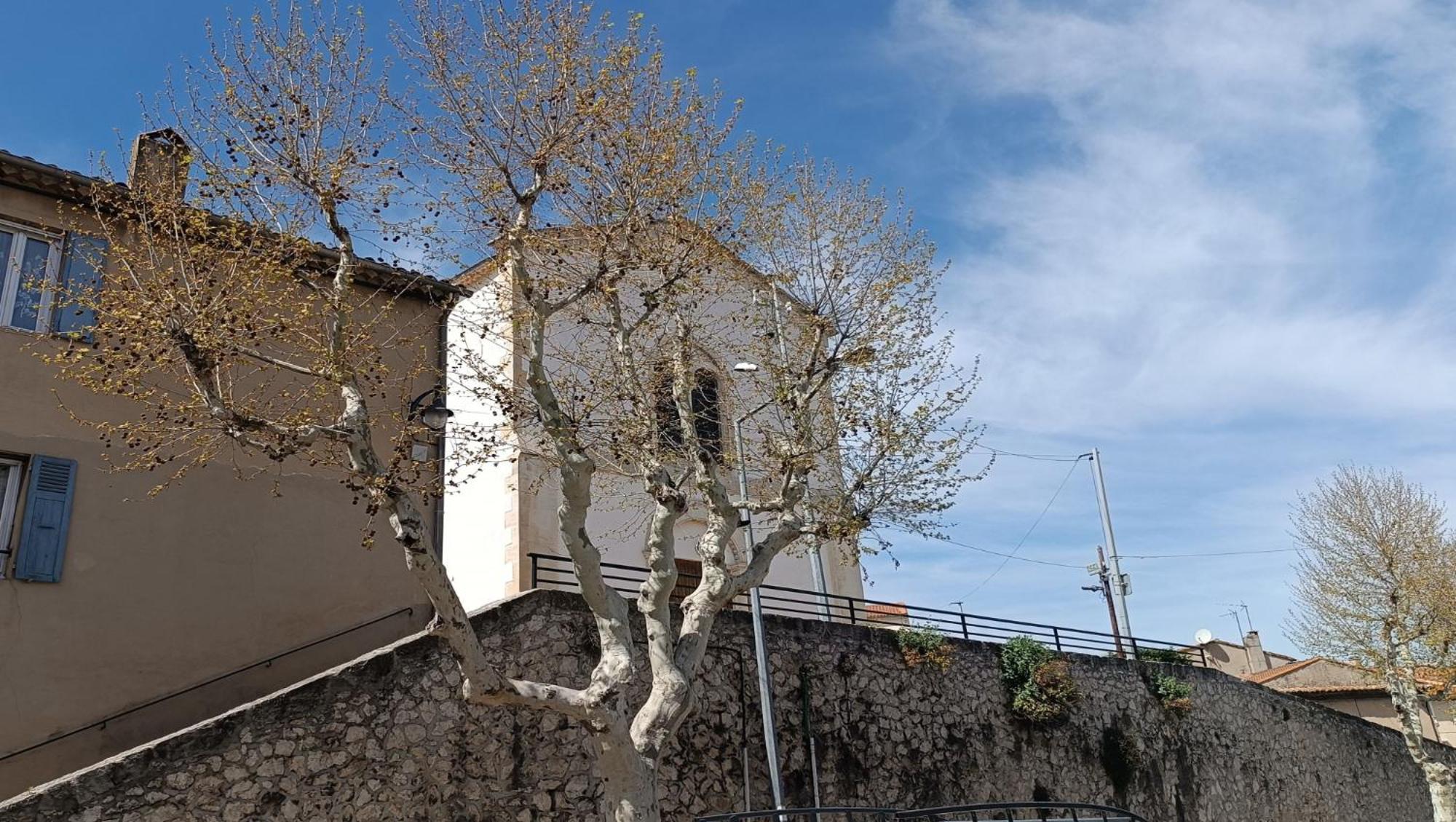 Romarin * Lumineux * Linge Hotelier * Fibre * Confort Apartment